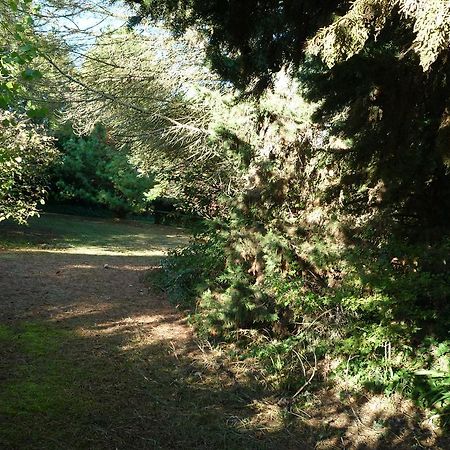 Le Logis Du Peu Girard Panzió La Roche-Clermault Kültér fotó