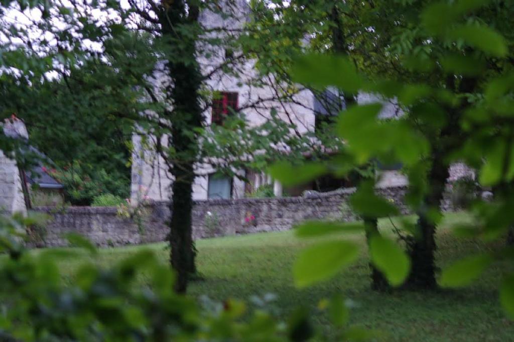 Le Logis Du Peu Girard Panzió La Roche-Clermault Kültér fotó